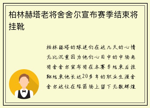柏林赫塔老将舍舍尔宣布赛季结束将挂靴
