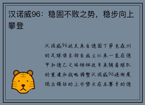 汉诺威96：稳固不败之势，稳步向上攀登