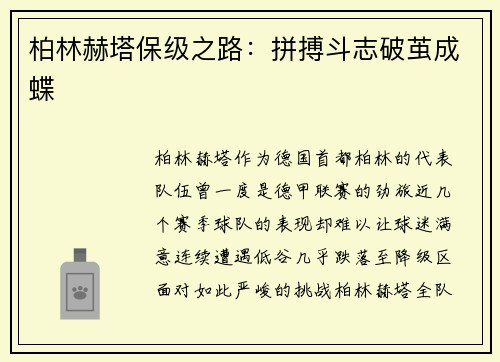 柏林赫塔保级之路：拼搏斗志破茧成蝶
