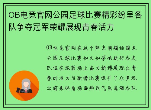 OB电竞官网公园足球比赛精彩纷呈各队争夺冠军荣耀展现青春活力